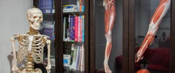 anatomy Brisbane Massage School