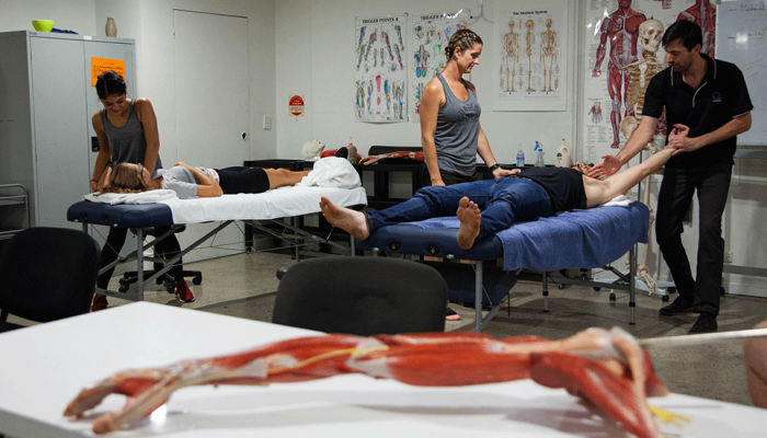 What subjects are included in our Remedial Massage Sports Therapy Program? Home